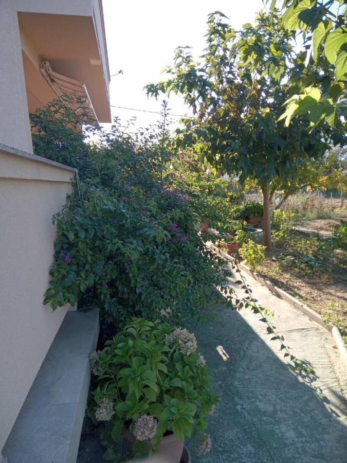 Apartmani Danijela Lopar Bagian luar foto